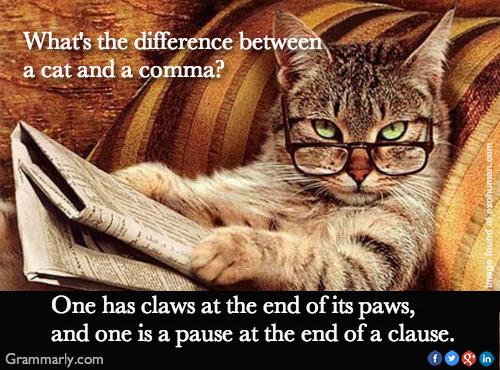 Cat and a Comma