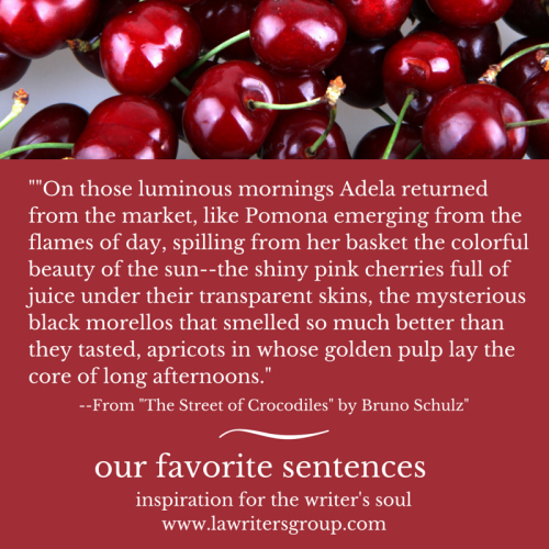 our favorite sentences (2)